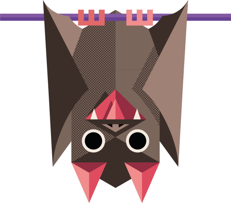 OUTCIDER Cherry 6x0,33