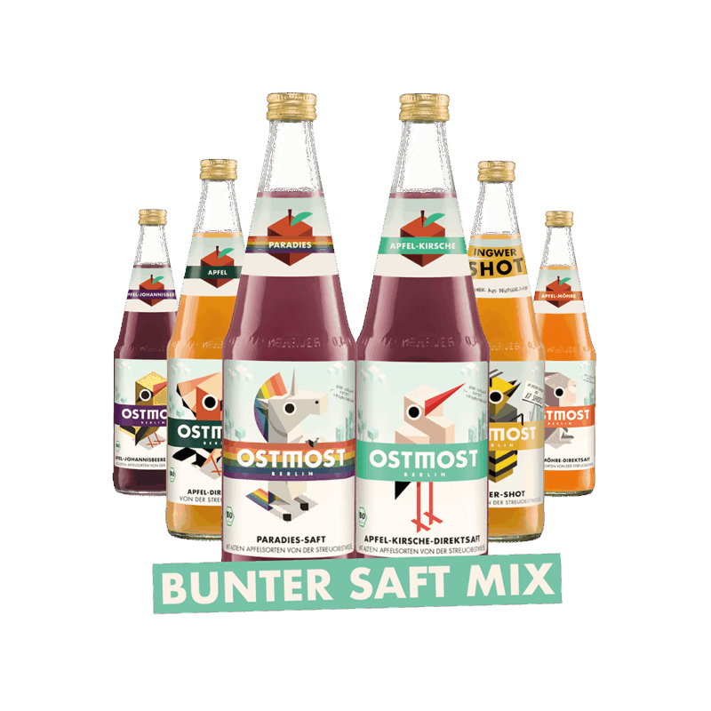 Bio Saft Mix 6x0,7l